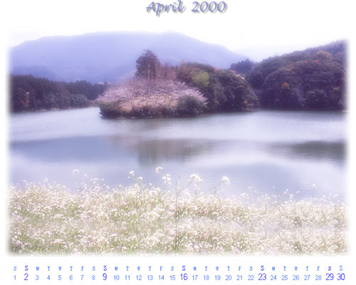 2000-04sakura