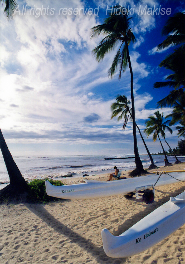 hawaii11