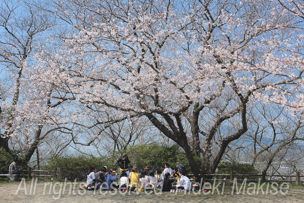 flower1-10