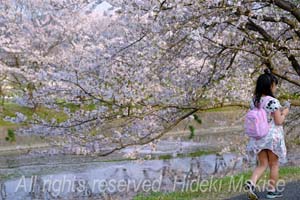flower1-03