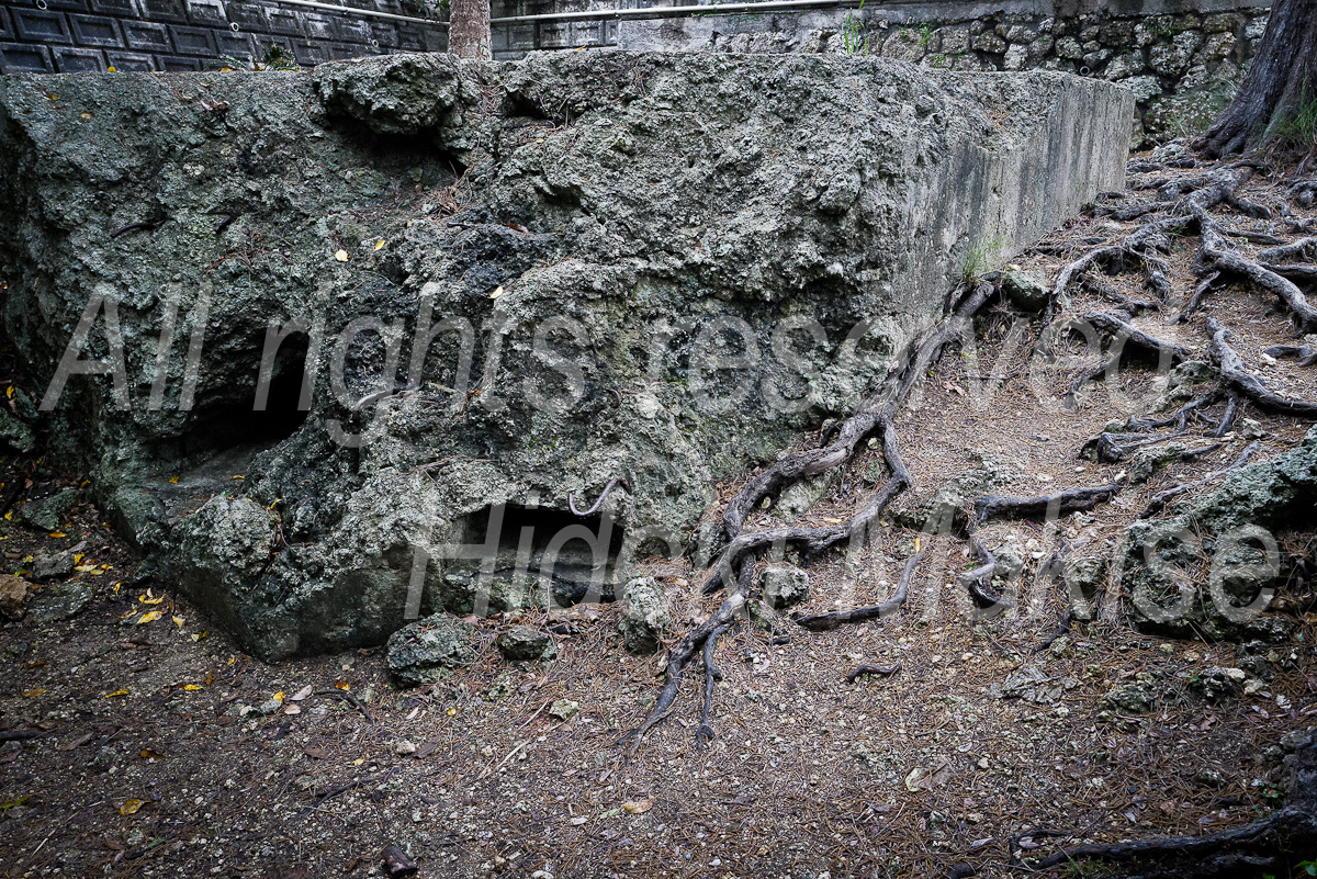 okinawakiti_1-08