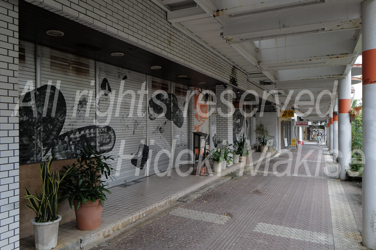 okinawakiti_1-31