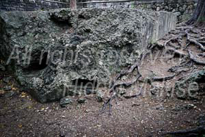 okinawakiti_1-08