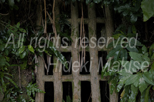 okinawakiti_1-11