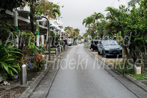 okinawakiti_1-32