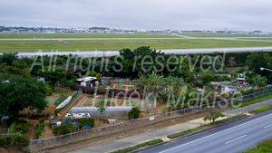 okinawakiti_2-08