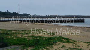 okinawakiti_2-20