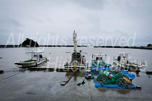 okinawakiti_2-22