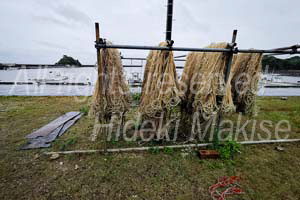 okinawakiti_2-23