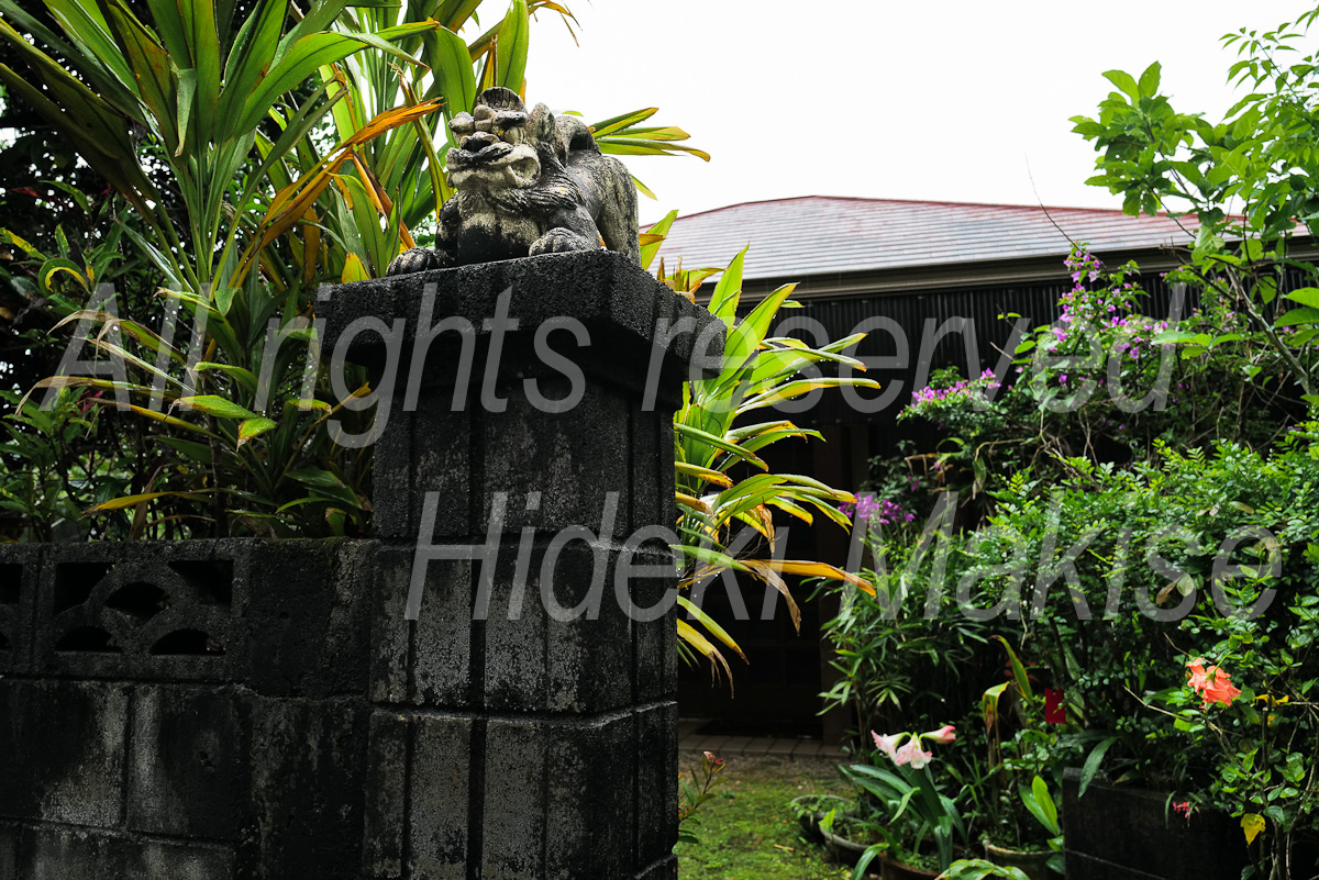 okinawa_3-03