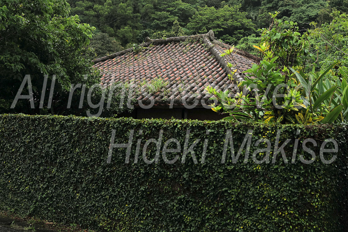 okinawa_3-05