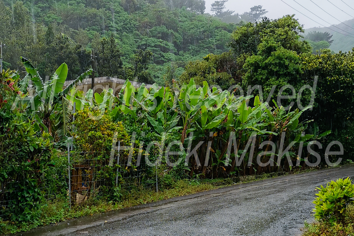 okinawa_3-06