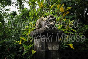 okinawa_3-04