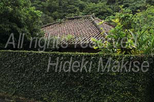 okinawa_3-05