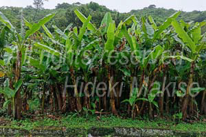 okinawa_3-07