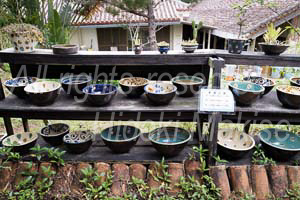 okinawa_3-21