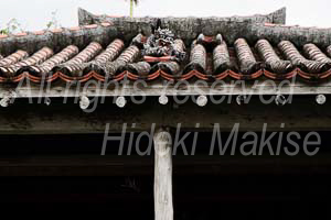 okinawa_3-40