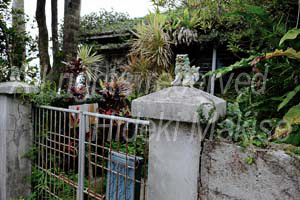okinawa_3-45
