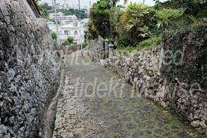 okinawa_3-46