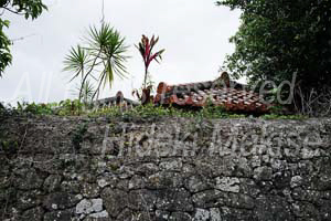 okinawa_3-48