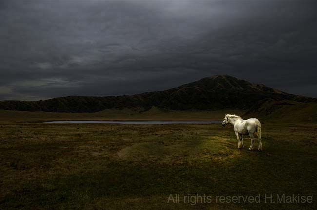 whitehorse01